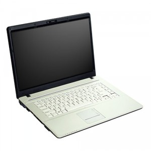 Panne écran LCD Sager